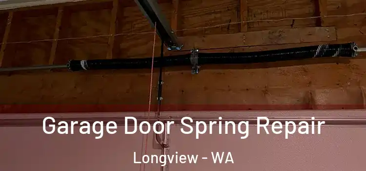  Garage Door Spring Repair Longview - WA