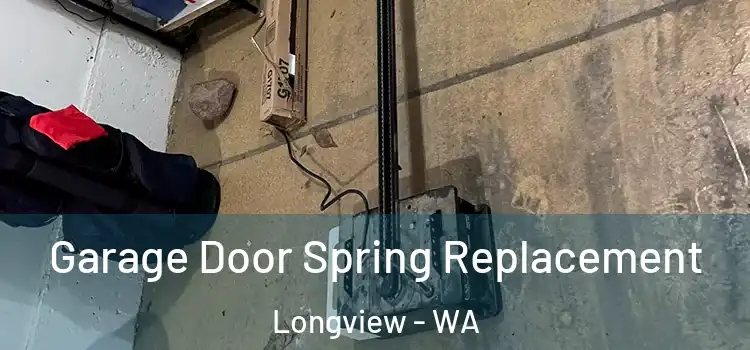  Garage Door Spring Replacement Longview - WA