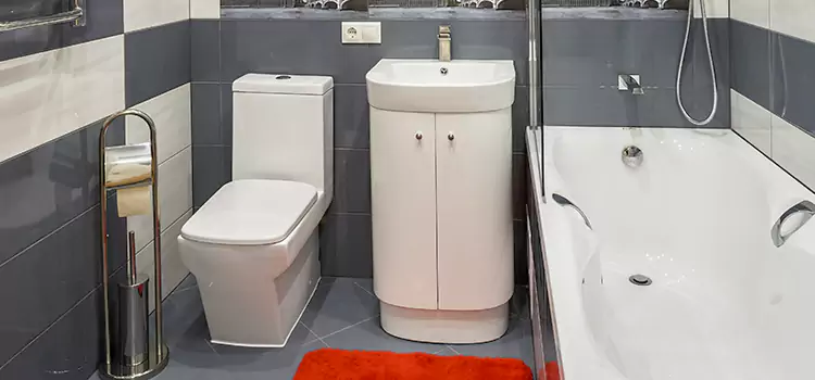 Hansgrohe Shaving Mirror Longview